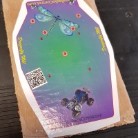 01   plan stuck to plywood