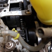 gv rex x   centre diff