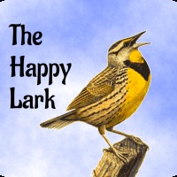 lark