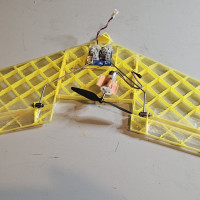 printed wing  