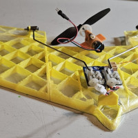 printed wing  