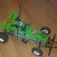 frog finished