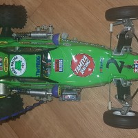 frog finished